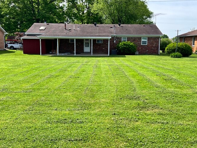 Back yard - 309 Randolph St