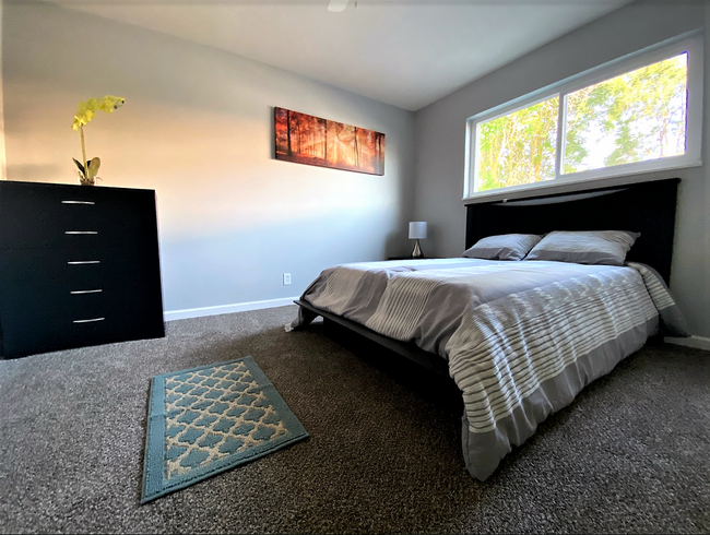 Foto del interior - The Palms at Sheridan