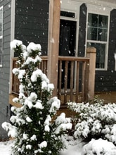Building Photo - 2560 Poplar Ln