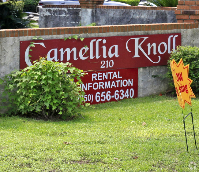 Building Photo - Camellia Knoll