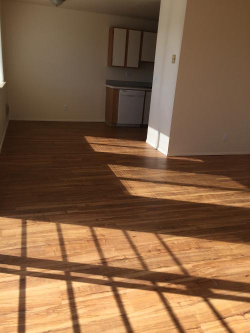 Foto del edificio - 2 bedroom in Seattle WA 98103