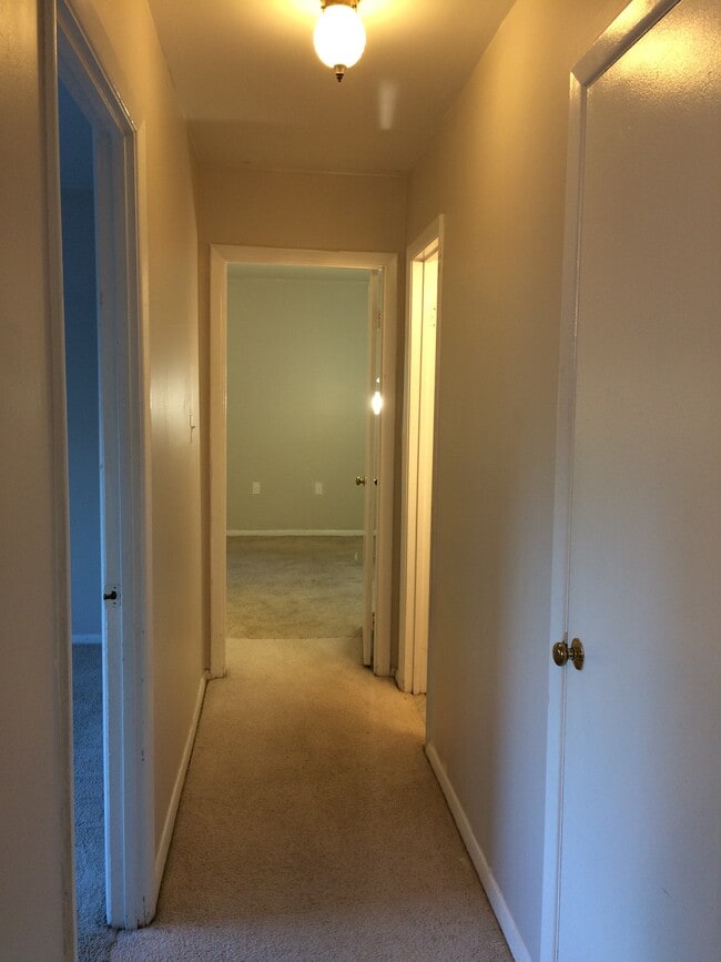 Building Photo - 12415 Braxfield Ct