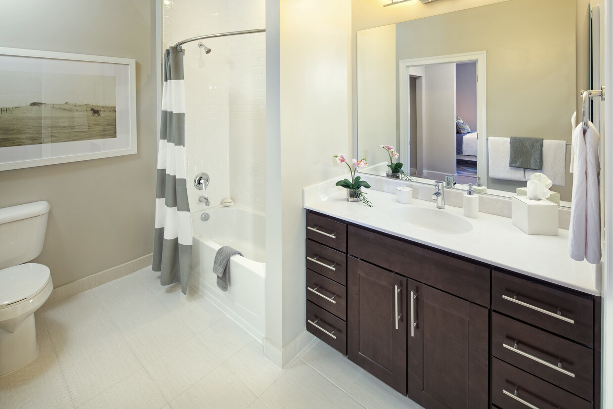 Takoma Central Apartments Washington, DC