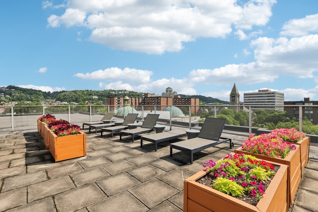 Foto principal - Park View Apartments