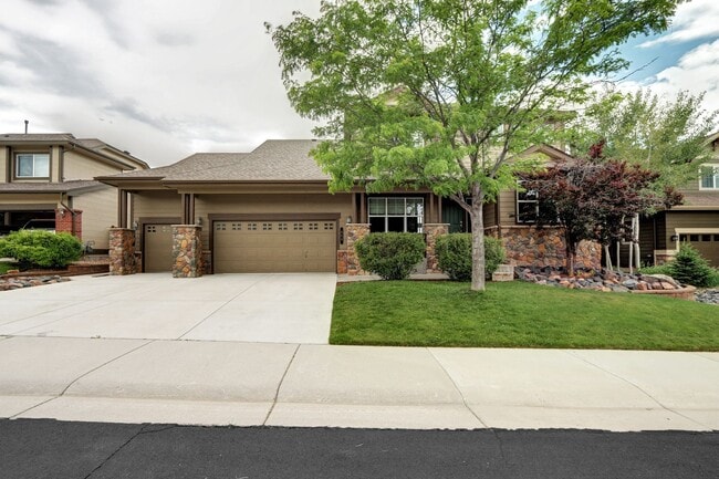 Building Photo - Convenient Castle Rock home on Culd-a-sac located in The Haven Neighborhood by Metzler Ranch!