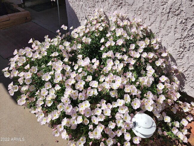 Foto del edificio - 2124 N College Ct