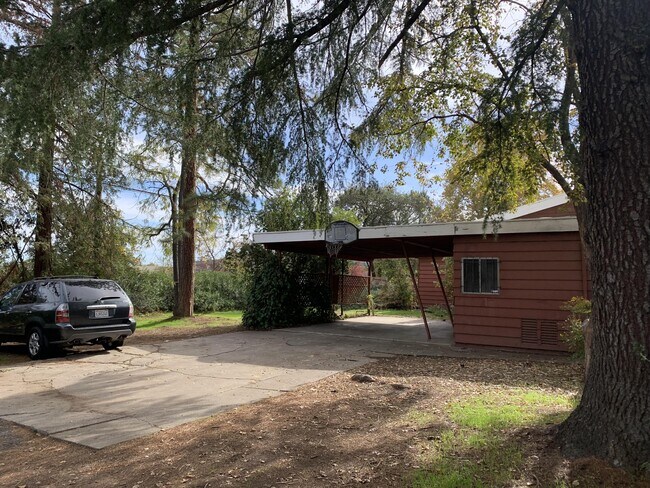 Foto del edificio - 4849 College Oak Dr