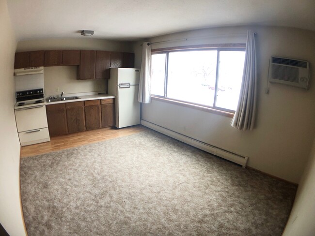 Studio (unfurnished view) - Lakeview Manor Apartments