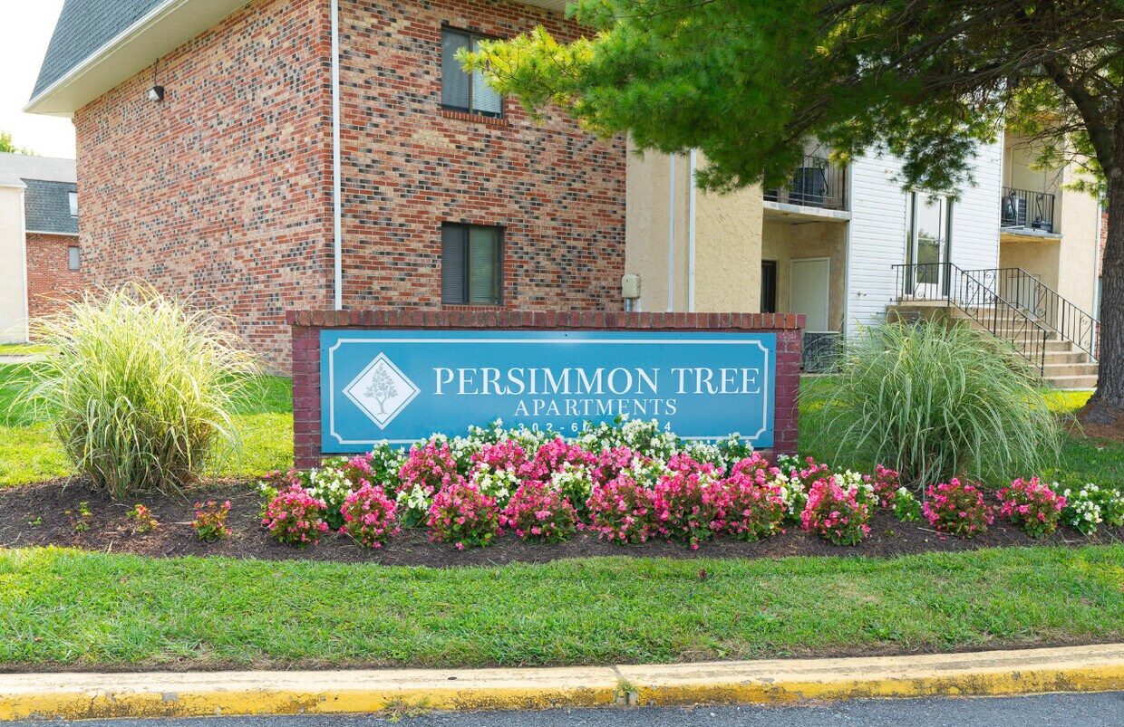 Persimmon Tree Apartments in Dover, DE