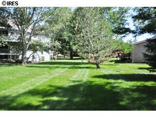 Más de un acre de tierra - 205 S Taft Hill Rd