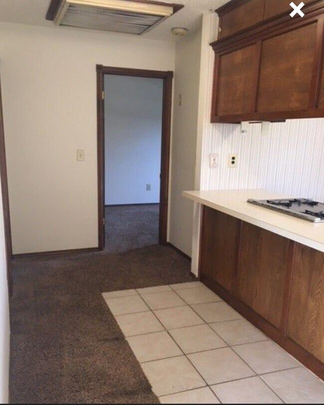 Foto del edificio - 203 Timbercrest Ct