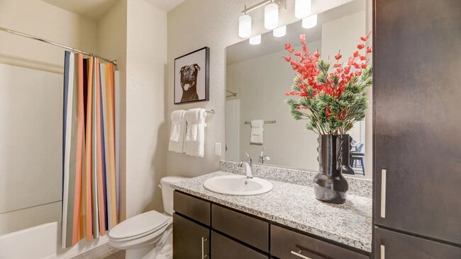 Foto del edificio - Springs at Stadium Village