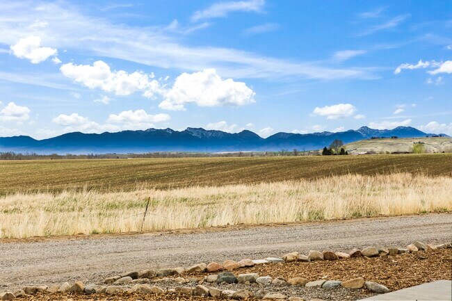 Foto del edificio - 31 Diamond View Ln