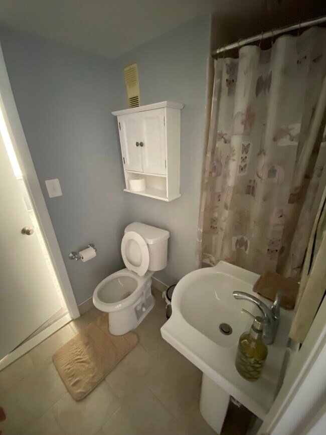 Bathroom #2 - 3713 S George Mason Dr