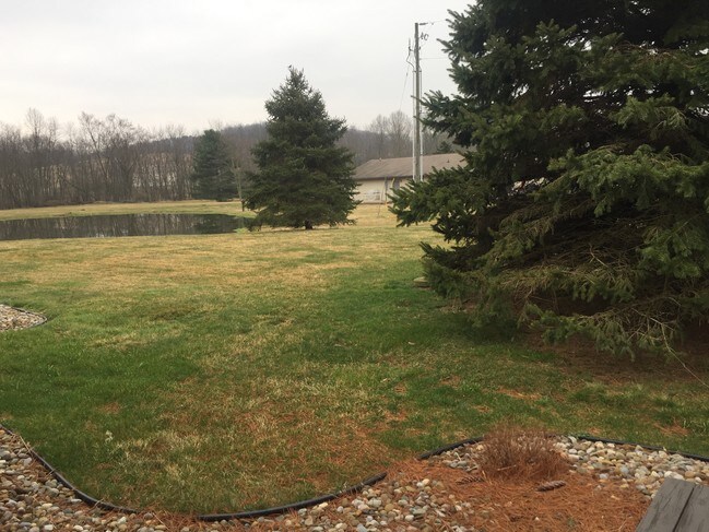 Vista desde el patio - 1198 Schneiders Crossing Rd NW