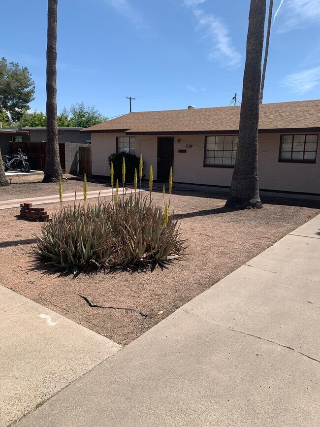 Building Photo - WALK TO - ASU AREA — Remodeled 5 Bedroom 3 bath Home with Pool - Next to Light Rail stop.