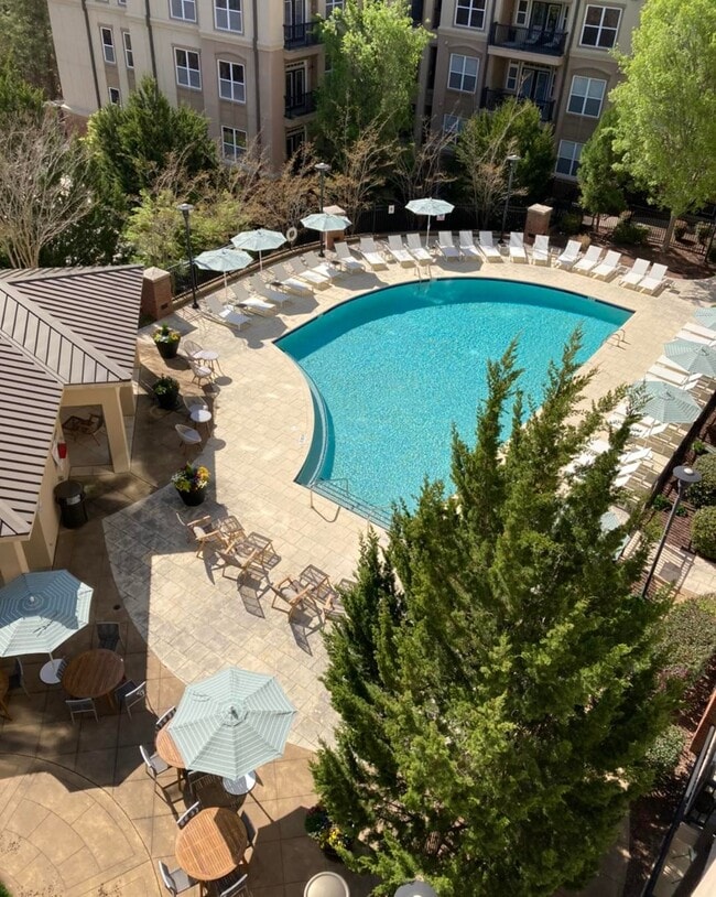 Piscina de agua salada estilo resort - Apartments at The Arboretum