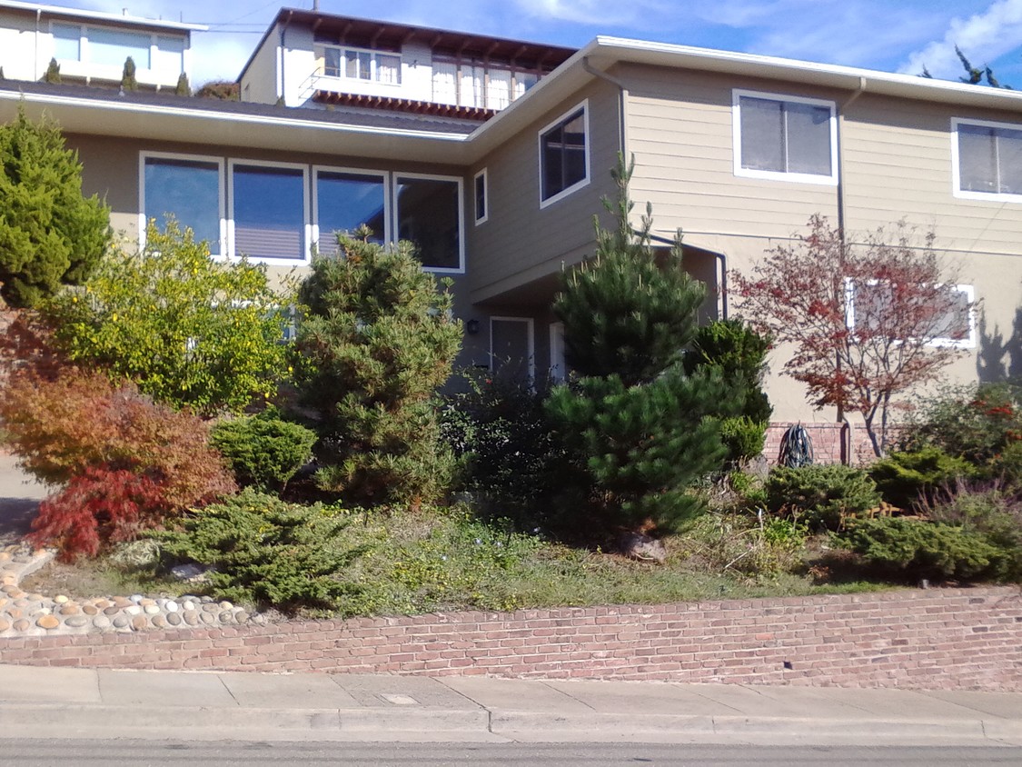 view from the street - 2608 La Honda Ave
