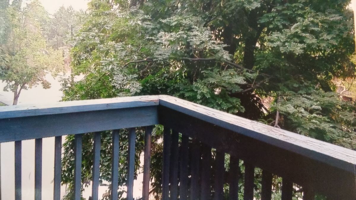Primary Photo - 1111 30th St