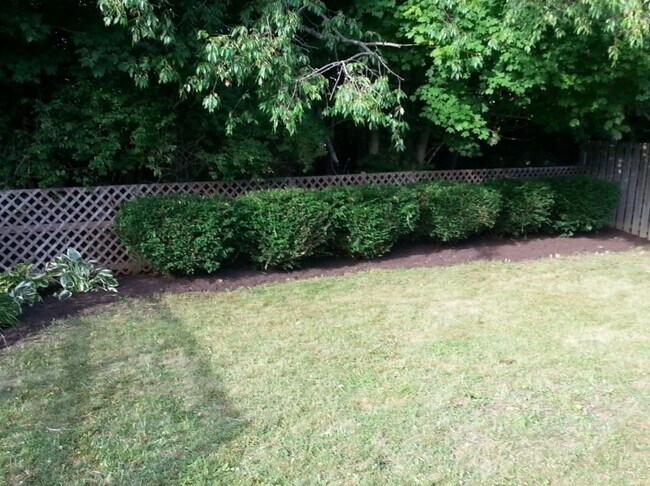 Backyard - 222 Village Dr