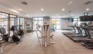 Located at 2042 Morris Ave in Union, NJ, this contemporary fitness center offers a well-appointed, single-floor layout designed to support a full range of workout routines. The space features a clean, modern aesthetic with grey-toned walls, recessed lighting, and patterned carpet flooring in a herringbone-style design that adds visual depth throughout.

The cardio zone is equipped with a row of TRUE-brand treadmills and elliptical machines, each positioned in front of wall-mounted flat-screen televisions and floor-to-ceiling mirrors that visually expand the space. Large windows along one wall allow generous natural light to fill the room while providing views of the exterior surroundings.

The strength and functional training area houses a comprehensive selection of Hoist cable and weight machines, along with a dedicated accessory rack stocked with stability balls, resistance bands, yoga mats, and foam rollers in an array of colors, adding a lively accent to the room. Additional cardio options, including a stationary bike, round out the equipment offerings.

The facility is accessed through a sleek glass-paneled entry door framed in black, opening into a transitional corridor with cool blue-grey walls. The overall ambiance is polished and functional, creating an inviting environment well-suited for focused, effective workouts.