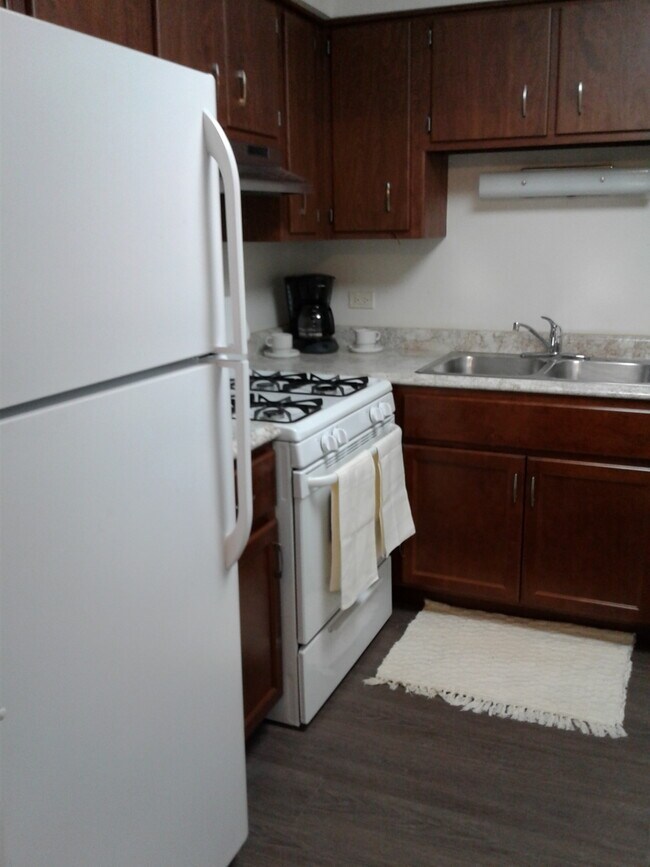 Kitchen - 15820 Orlan Brook Dr