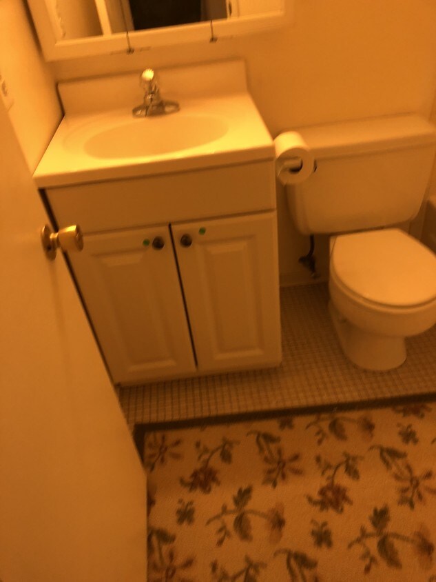 Baño - 455 Moores Mill Rd