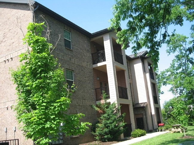 Building Photo - 1411 Rocky Ln