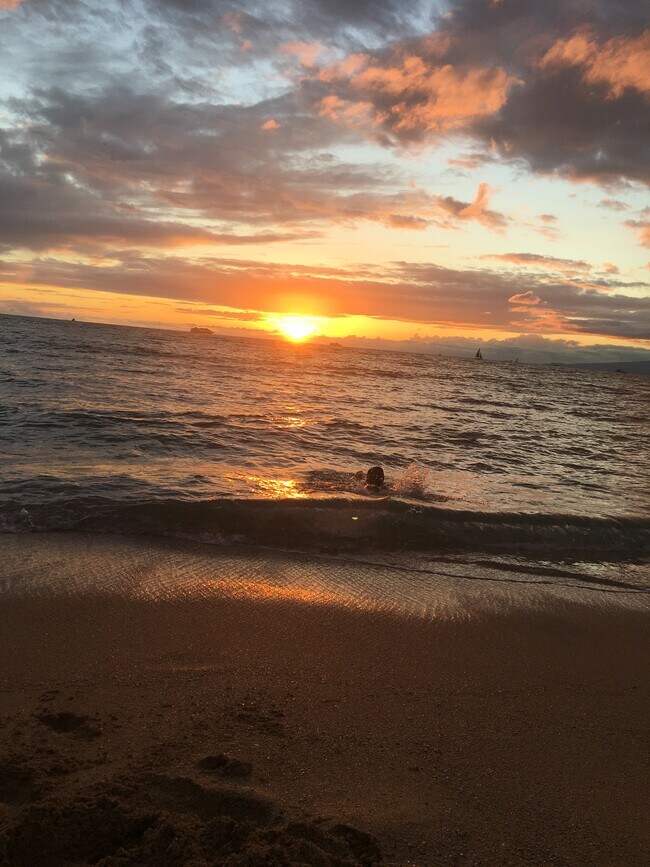 Foto del edificio - 7403 N Ocean Blvd