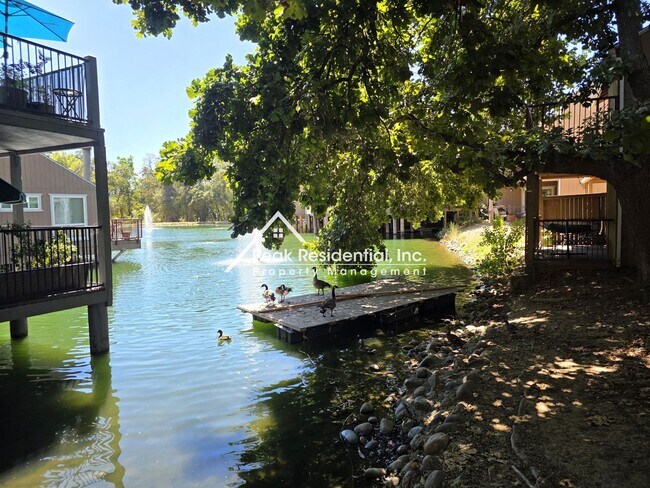 Foto del edificio - Wonderful 2bd/2ba Citrus Heights Condo!