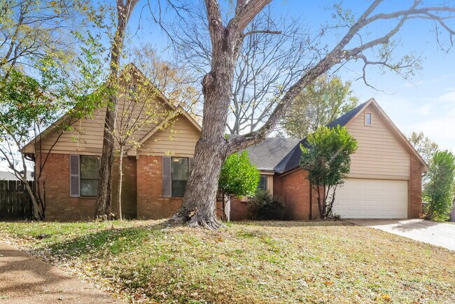 Foto del edificio - 8139 Creek Way Cove