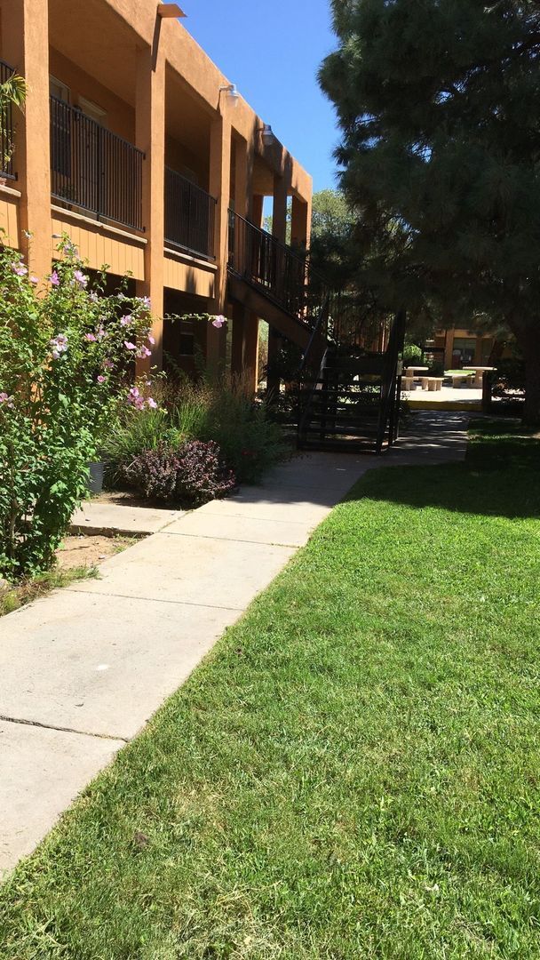 Interior Photo - Pine Park Apartments