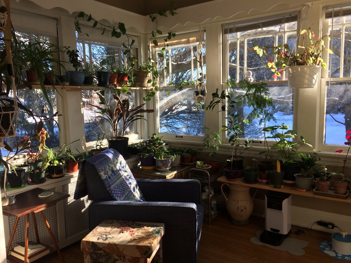 Sunroom - 512 Islington St