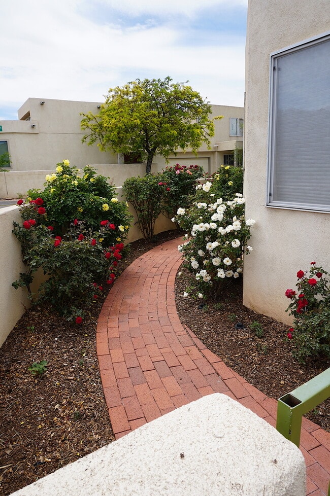 Foto del edificio - Move In Ready Near UNM and Nob Hill!! This...