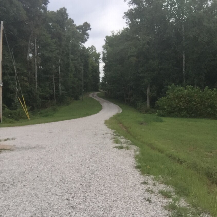 road coming in to rental - 477 Burnt Hill Rd
