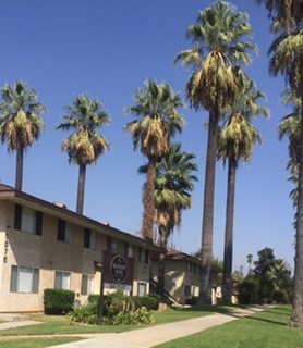 Building Photo - Brookside Palms Apartments