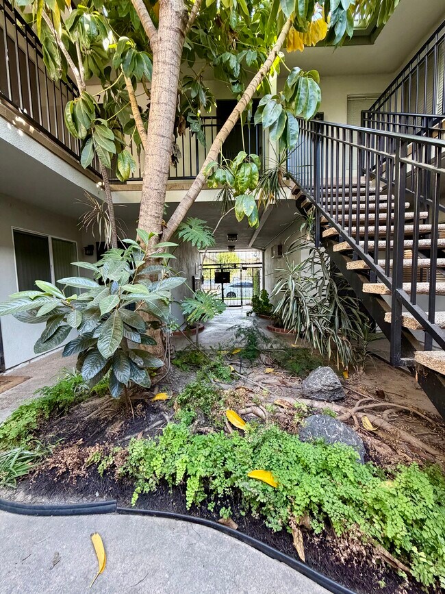 atrio ajardinado - 3045 E Theresa St