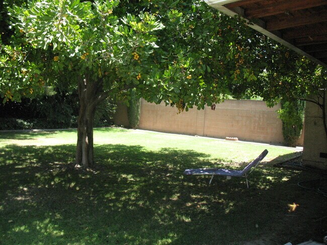 Shady Glen - Patio trasero con microclima fresco - 3121 W Wyoming Ave