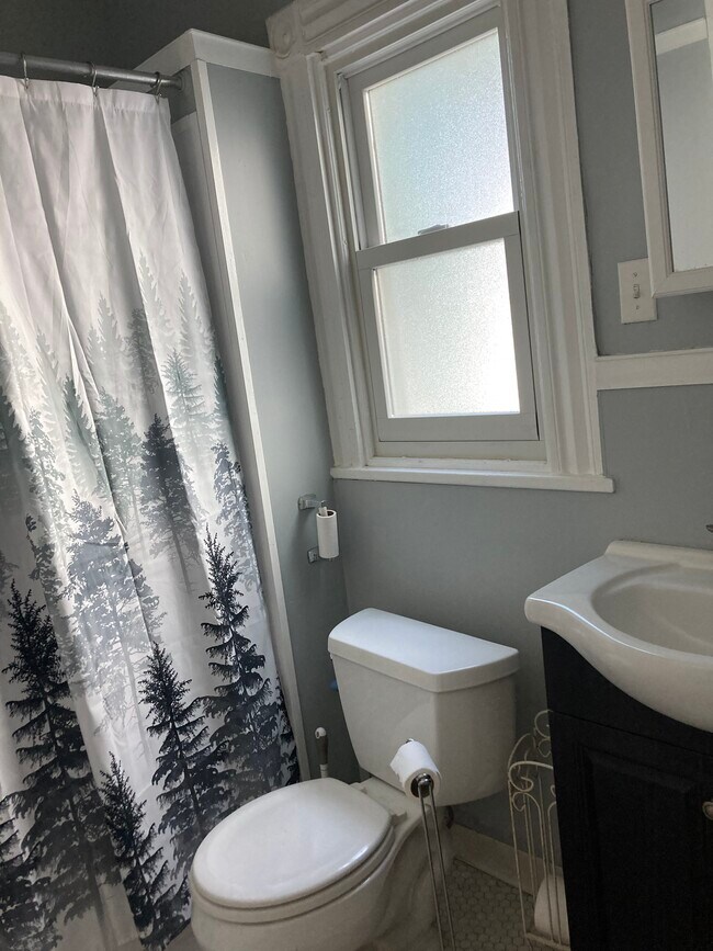 bathroom - 412 Ashland Ave