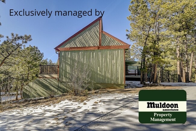 Building Photo - Stunning Black Forest Home!