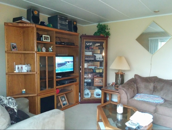 Living Area - 12 E 58th St