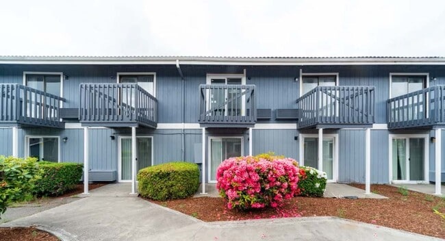 Interior Photo - Indigo Apartments