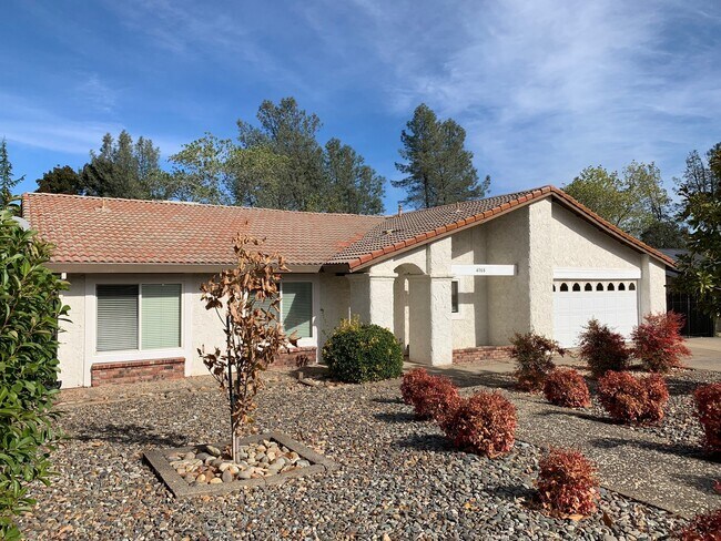 Building Photo - Mature dog considered. Nice home, convenient location off Placer & Wisconsin, Rdg.