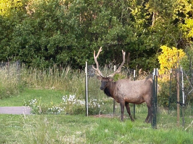 Foto principal - 4595 Fieldbrook Rd