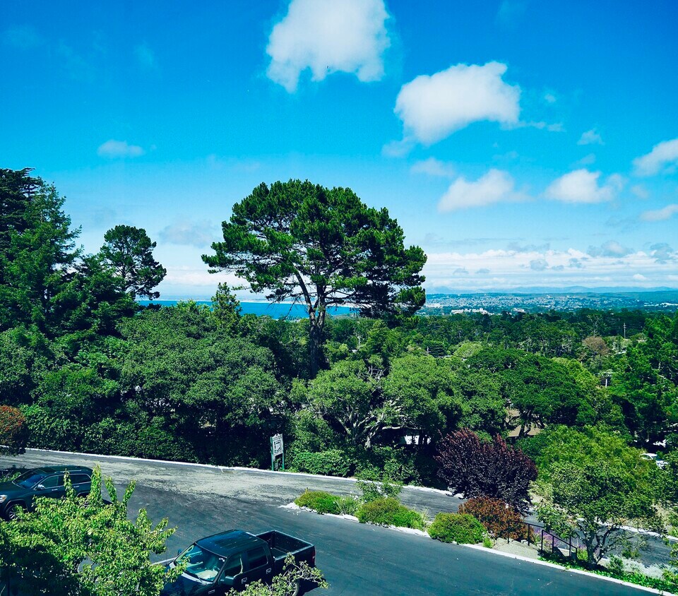 1206 Golden Oaks Ln Unit 1206, Monterey, CA 93940 Condo for Rent in Monterey, CA