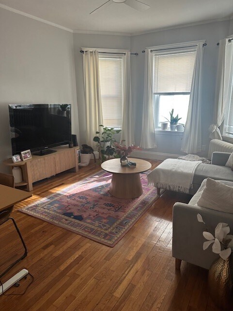 Foto del edificio - 317 Allston St