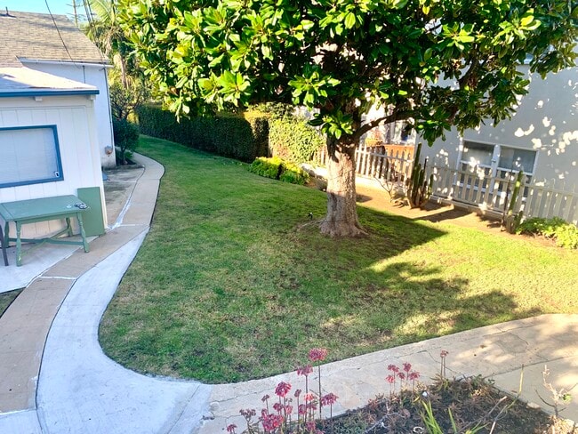 Backyard - 1809 12th St