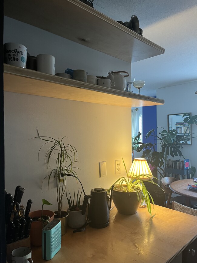 Open concept shelving - 1723 Frances St