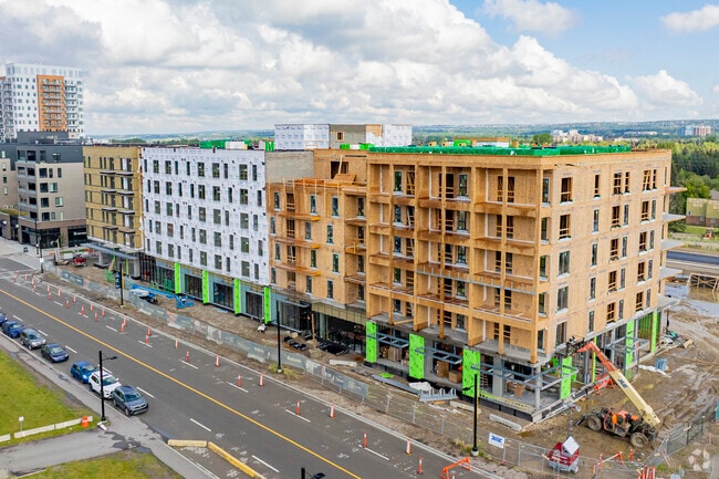 Autumn at University District