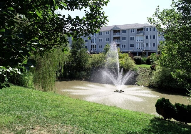 Building Photo - 219 Fountain Vw